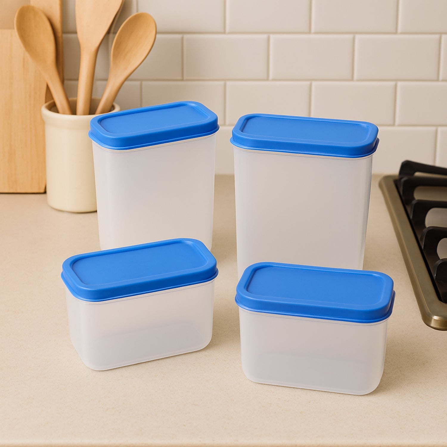 Apex Glory Plastic Storage Container Box Set (4 Pc) Wukusy