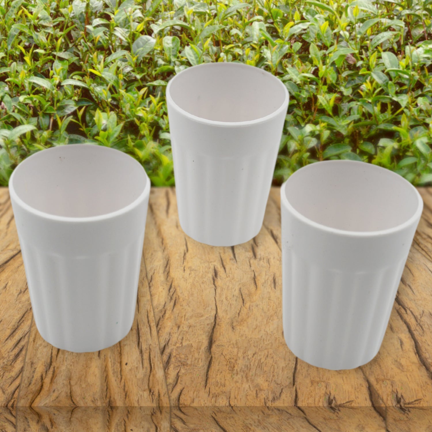 5719 Small Plastic Coffee  Tea Cups Reusable Plastic Cup Mug Lightweight Microwavable Dishwasher Safe Unbreakable Camping Coffee Mugs For Tea Milk Water Juice Tea (3 Pcs Set) Wukusy