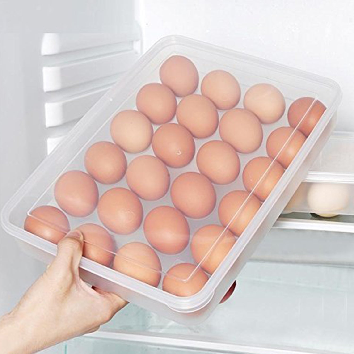 Plastic Egg Storage Container Holder For Refrigerator Egg Tray Holds 24 Eggs (1 Pc) Wukusy