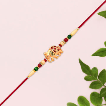 Bhai Ki Rakhi A Sisters Heartfelt Promise Wukusy