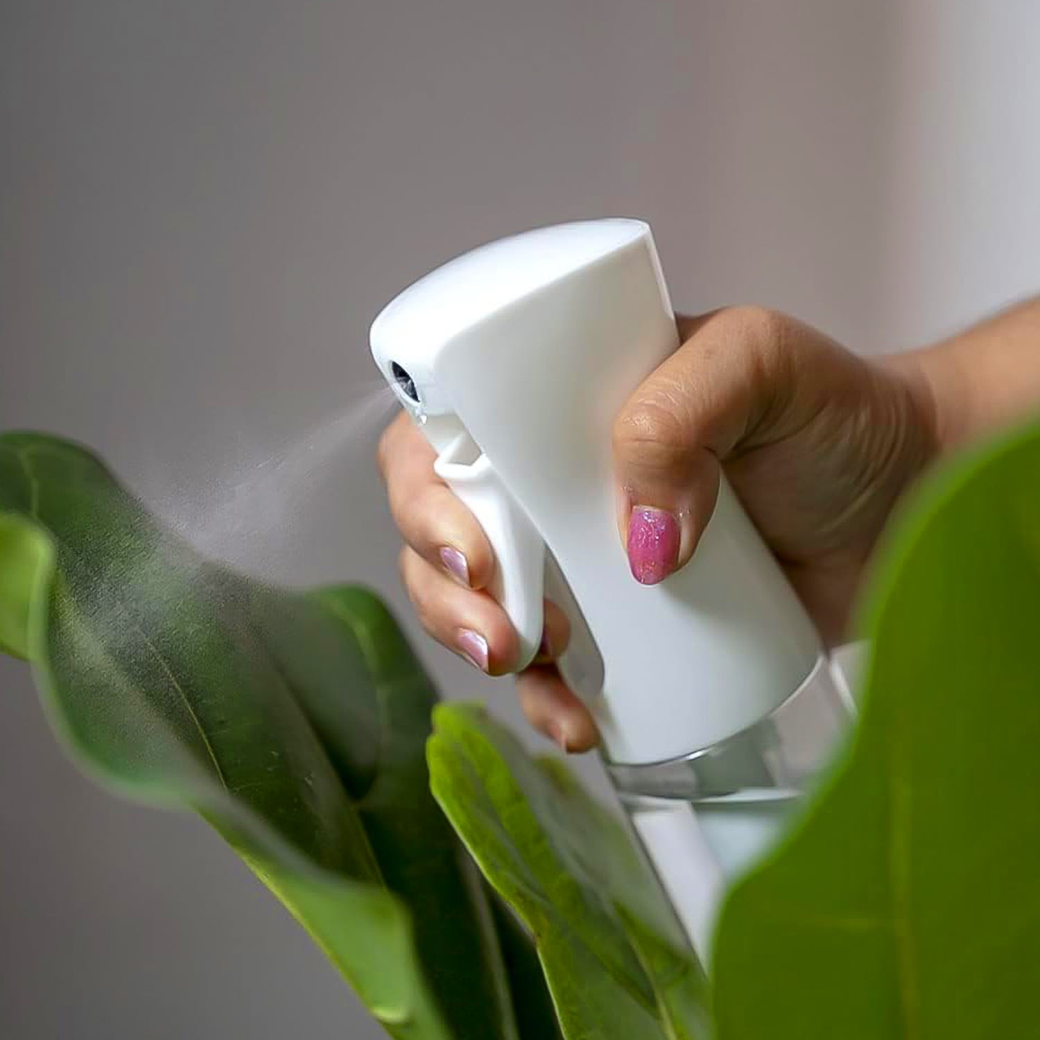 Plastic Oil Spray Bottle - Versatile Kitchen Gadgets (250 Ml Approx  With White Box) Wukusy