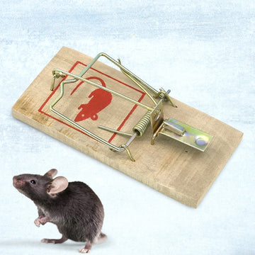 Wooden Mouse Rat Traps (1 Pc) Wukusy