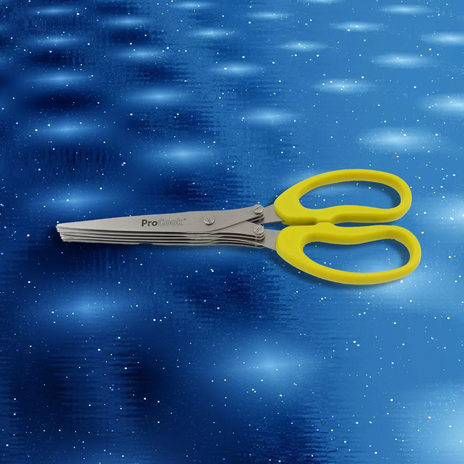 Multifunction Vegetable Stainless Steel Herbs Scissor With 5 Blades (1 Pc) Wukusy