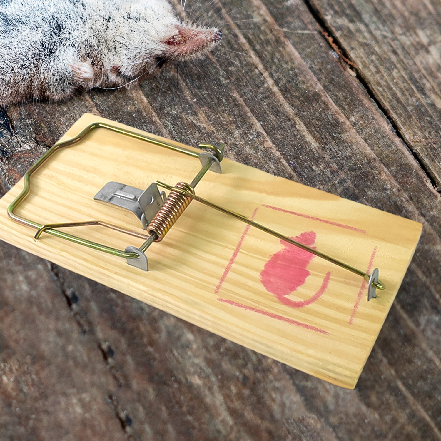 Wooden Mouse Rat Traps (1 Pc) Wukusy