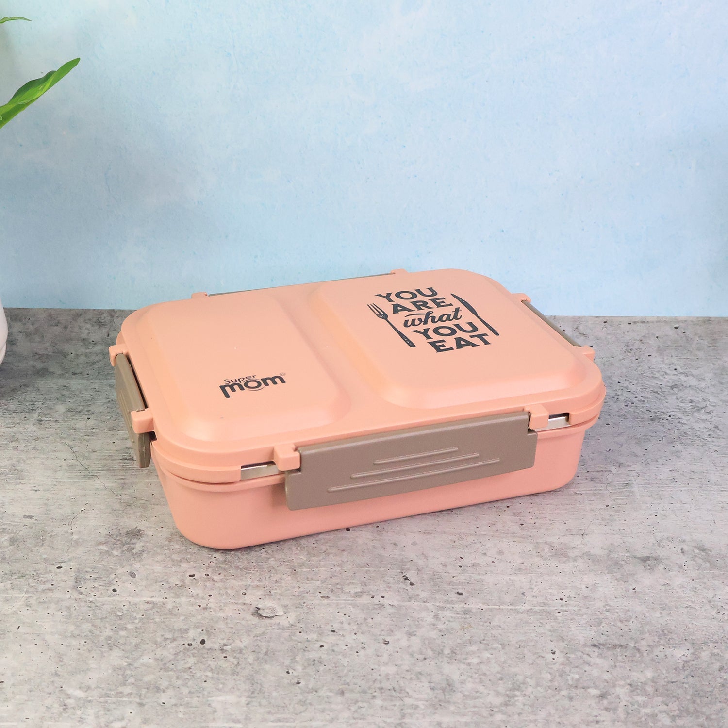 Supermom 2 Partition Stainless Steel Lunch Box Wukusy
