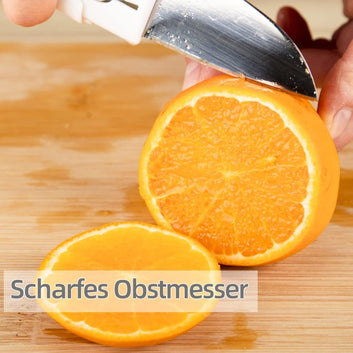 Dual-use Knife And Peeler 2-in-1 Stainless Steel Blades Wiith Case (1 Pc)