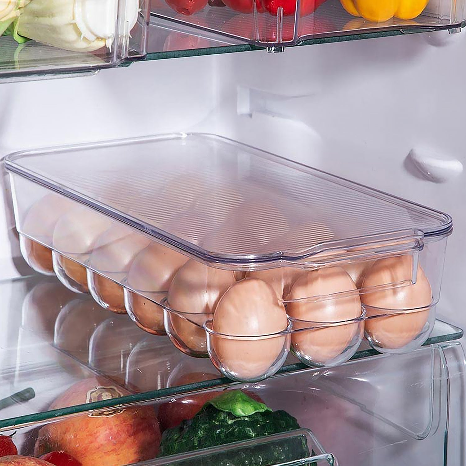 Plastic 18 Cavity Egg Storage Box Or Egg Trays For Refrigerator With Lid  Handles High Quality Rectangular Egg Tray Box For 18 Egg (1 Pc) Wukusy