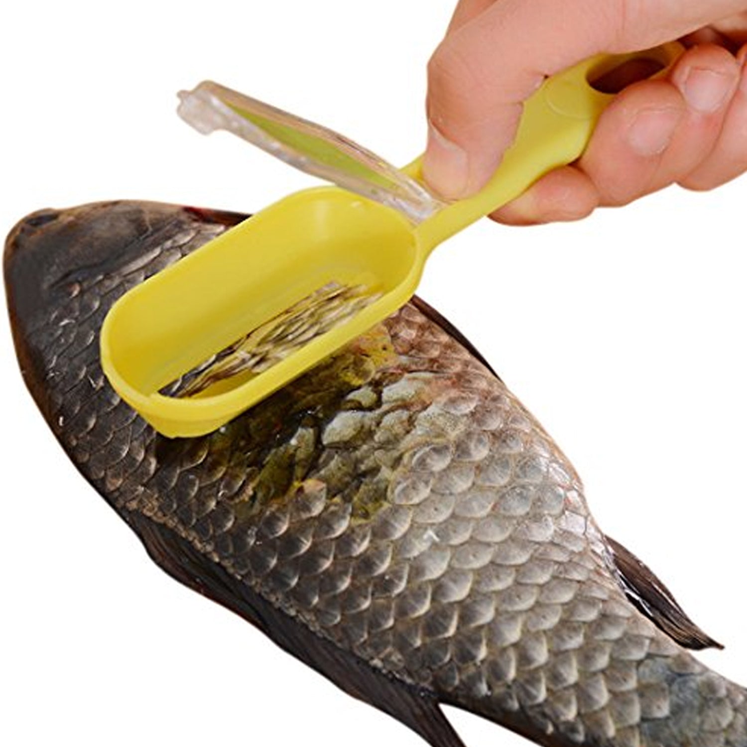 0112 Plastic Fish Scales Graters Scraper Fish Skin Brush Fish Cleaning Tool Scraping Scales Device With Cover Home Kitchen Cooking Tools 1 Pieces Wukusy