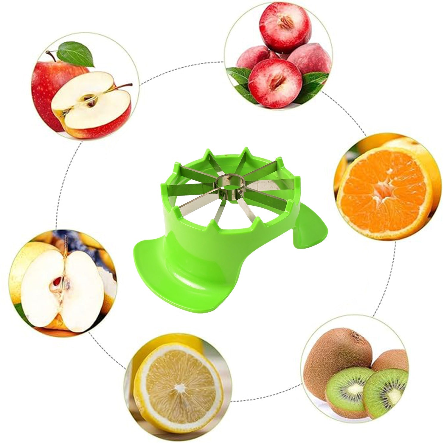 Apex Apple Cutter With Container  Unbreakable Abs Body  Stainless Steel Blades Wukusy