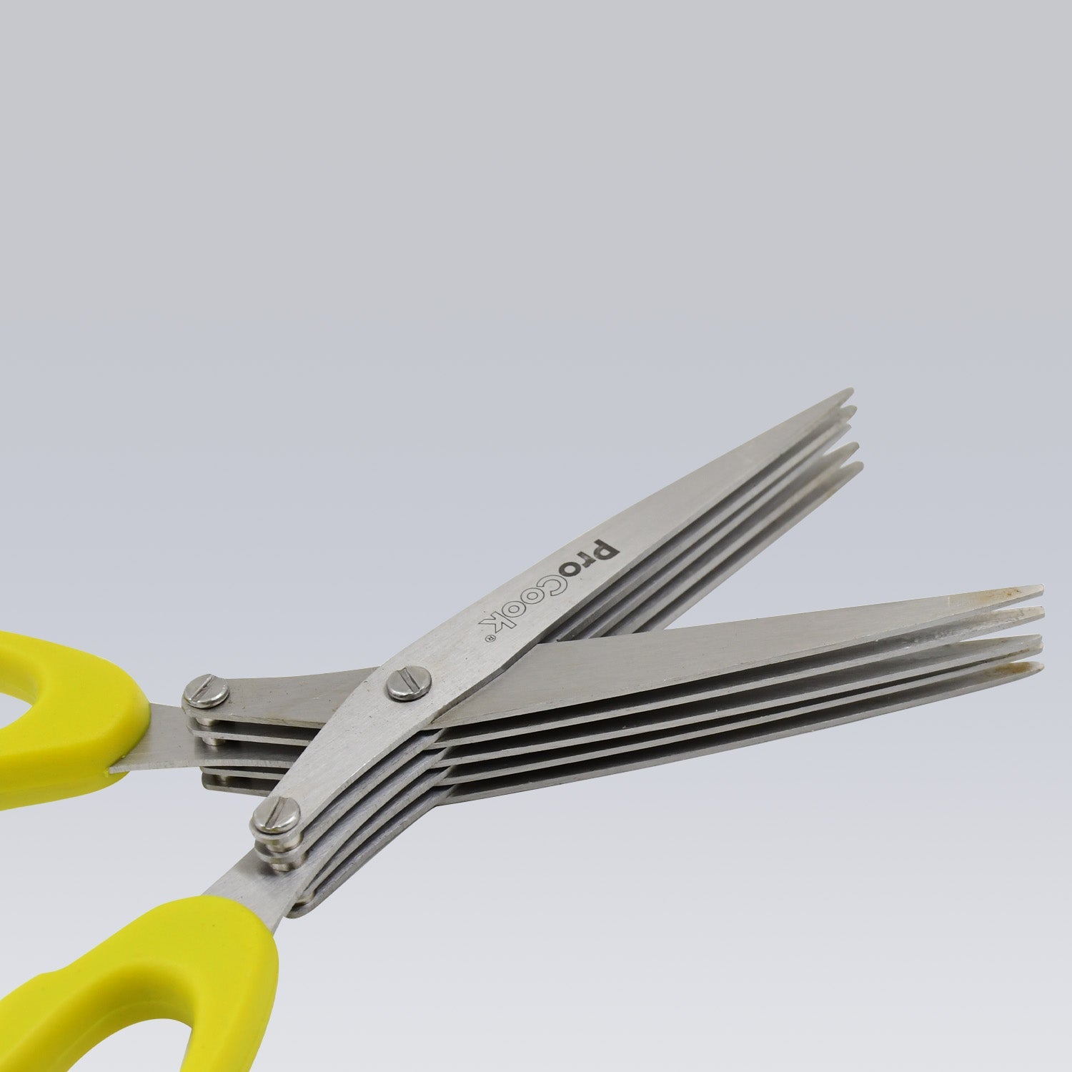 Multifunction Vegetable Stainless Steel Herbs Scissor With 5 Blades (1 Pc) Wukusy