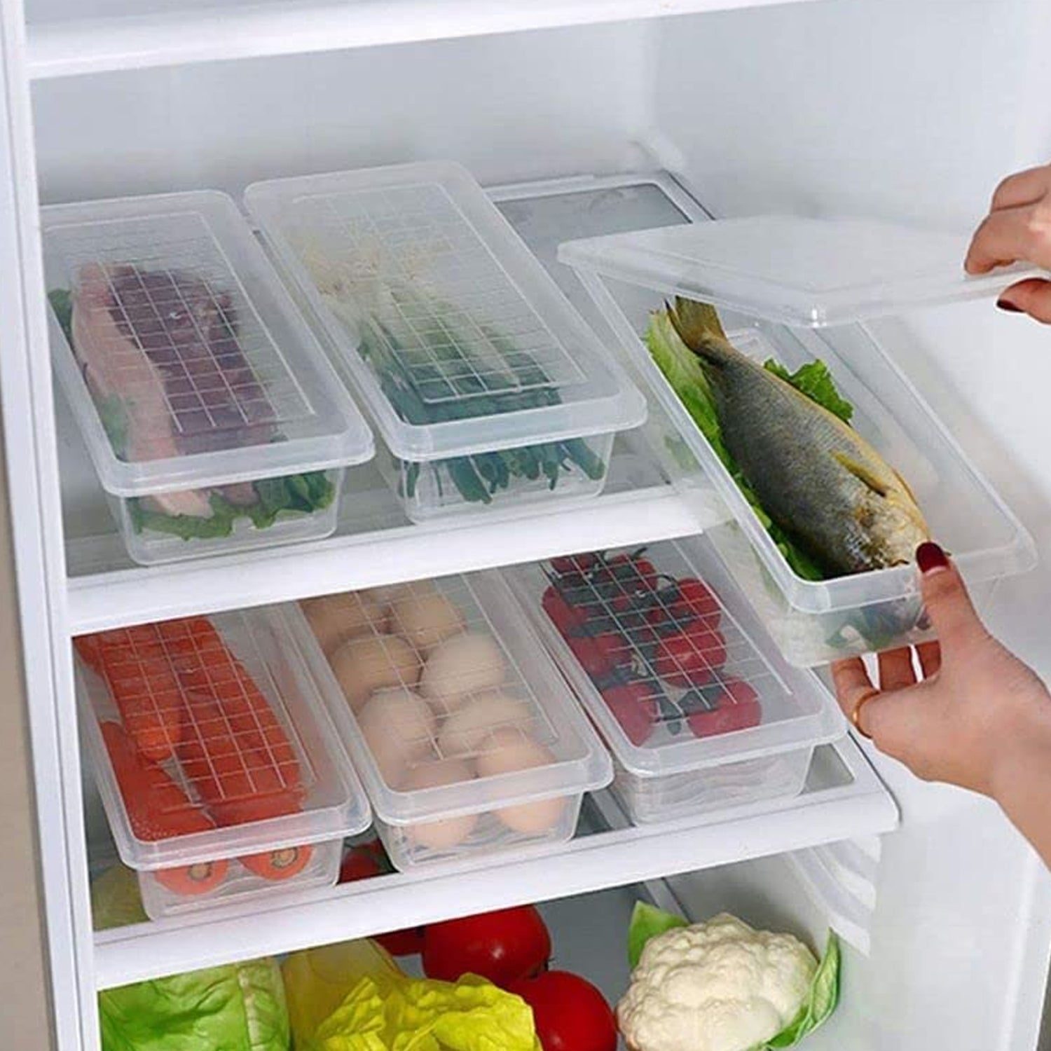 Vegetables  Fruits Freezer Storage Container (Pack Of 6pc 1500ml) Wukusy